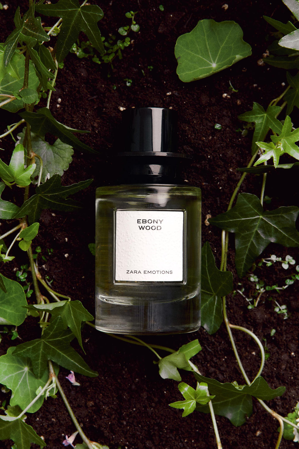 Ebony Wood EDP 100ml