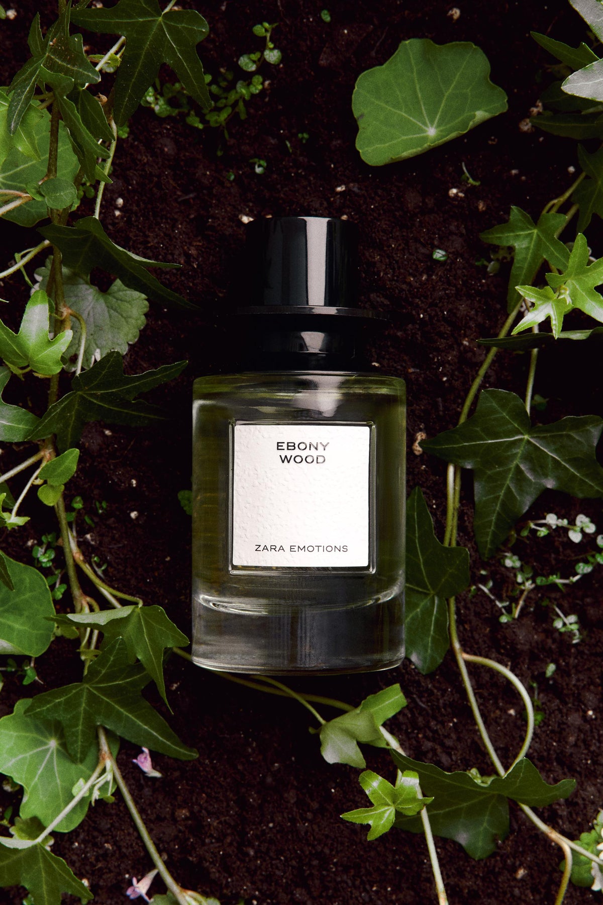 Ebony Wood EDP 100ml